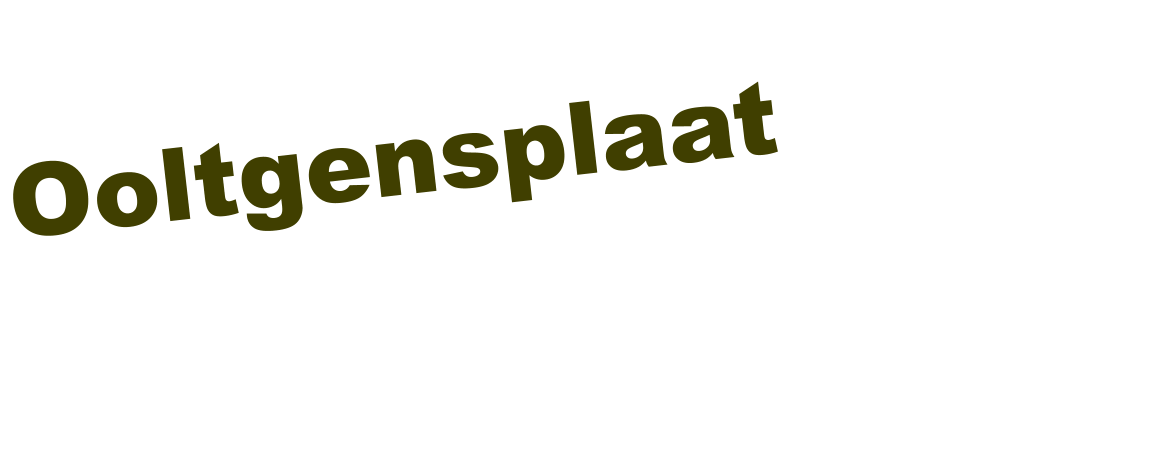 Ooltgensplaat